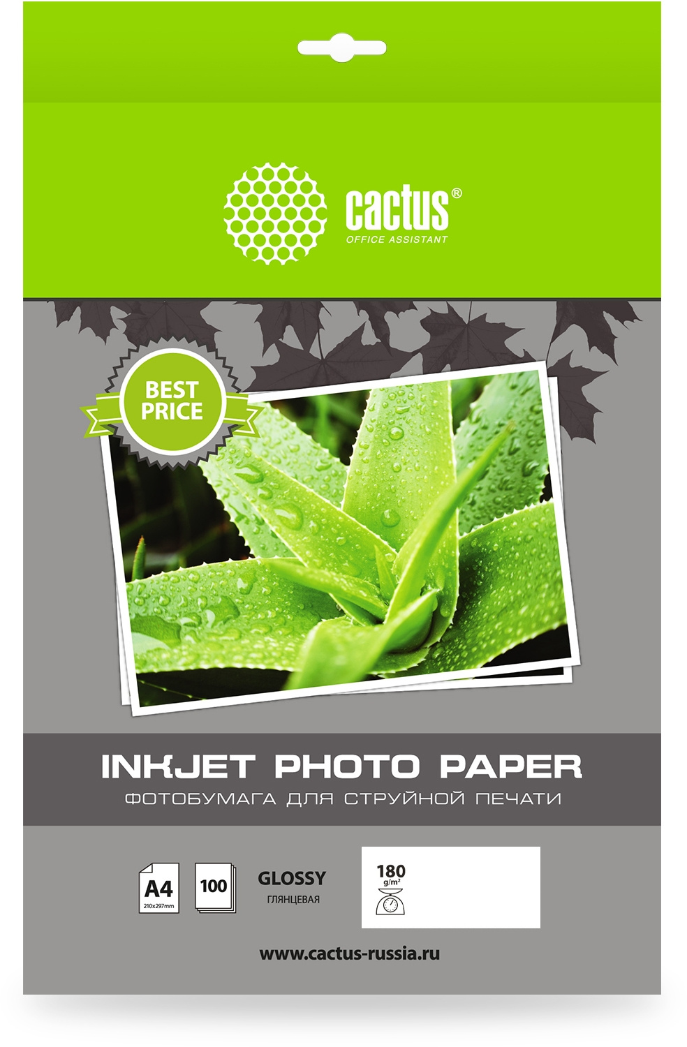 Фотобумага Cactus CS-GA4180100ED A4/180г/м2/100л./белый глянцевое для струйной печати