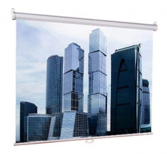 Экран Lumien 180x180см Eco Picture LEP-100102 1:1 настенно-потолочный рулонный - купить недорого с доставкой в интернет-магазине