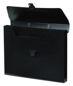 Портфель Бюрократ DeLuxe DLPP01BLCK 1 отдел. A4 пластик 0.7мм черный - купить недорого с доставкой в интернет-магазине