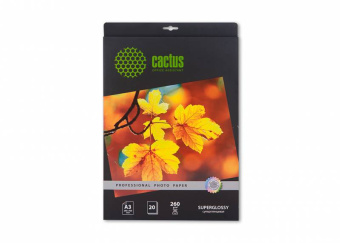 Фотобумага Cactus Prof CS-HGA326020 A3/260г/м2/20л./белый глянцевое для струйной печати - купить недорого с доставкой в интернет-магазине