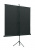 Экран на треноге Lumien 200x200см Eco View LEV-100103 1:1 напольный рулонный - купить недорого с доставкой в интернет-магазине