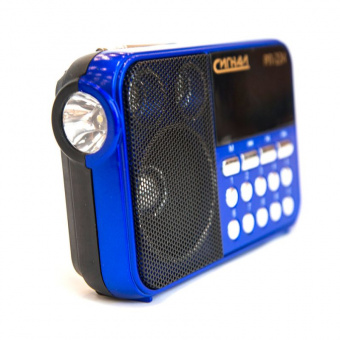 Радиоприемник портативный Сигнал РП-224 синий USB microSD - купить недорого с доставкой в интернет-магазине
