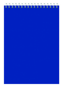 Блокнот Silwerhof A5 мелов.картон 60л клетка гребень синий - купить недорого с доставкой в интернет-магазине