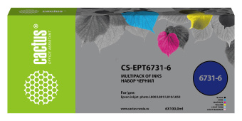 Чернила Cactus CS-EPT6731-6 T673 многоцветный набор 6x100мл для Epson L800/L810/L850/L1800 - купить недорого с доставкой в интернет-магазине