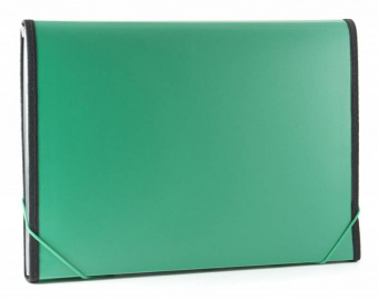 Портфель Бюрократ -BPR13LGRN 13 отдел. A4 с окантовкой пластик 0.7мм зеленый - купить недорого с доставкой в интернет-магазине
