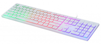 Клавиатура Оклик 550ML белый USB slim Multimedia LED - купить недорого с доставкой в интернет-магазине