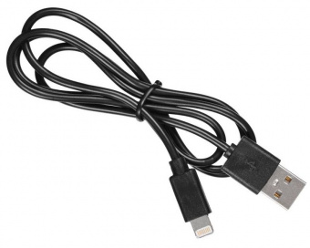Кабель Buro BHP LIGHTNING 0.8 USB (m)-Lightning (m) 0.8м черный - купить недорого с доставкой в интернет-магазине
