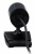 Камера Web A4Tech PK-910P черный 1Mpix (1280x720) USB2.0 с микрофоном - купить недорого с доставкой в интернет-магазине
