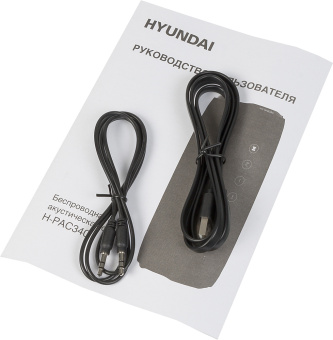 Колонка порт. Hyundai H-PAC340 черный 20W 1.0 BT/3.5Jack/USB 10м 4400mAh - купить недорого с доставкой в интернет-магазине