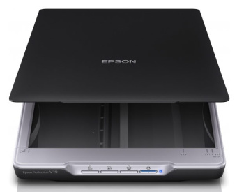 Сканер Epson Perfection V19 (B11B231401) - купить недорого с доставкой в интернет-магазине