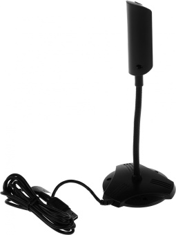 Камера Web A4Tech PK-810G черный 0.3Mpix (640x480) USB2.0 с микрофоном - купить недорого с доставкой в интернет-магазине