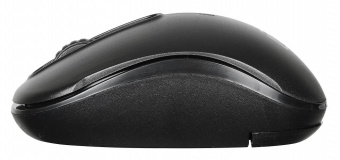 Мышь Оклик 505MW черный оптическая (1000dpi) беспроводная USB для ноутбука (3but) - купить недорого с доставкой в интернет-магазине
