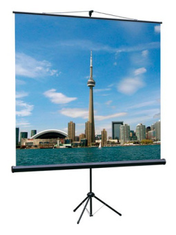 Экран на треноге Lumien 160x160см Eco View LEV-100105 1:1 напольный рулонный - купить недорого с доставкой в интернет-магазине