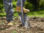 Лопата штыковая Gardena ErgoLine 17010-20 для земляных работ большой (17010-20.000.00) - купить недорого с доставкой в интернет-магазине