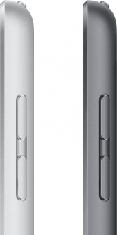 Планшет Apple iPad 2021 A2602 A13 Bionic 6С ROM256Gb 10.2" IPS 2160x1620 iOS серый космос 8Mpix 12Mpix BT WiFi Touch 10hr - купить недорого с доставкой в интернет-магазине