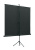 Экран на треноге Lumien 150x150см Eco View LEV-100101 1:1 напольный рулонный - купить недорого с доставкой в интернет-магазине