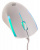 Мышь Оклик 245M белый оптическая (1000dpi) USB (3but) - купить недорого с доставкой в интернет-магазине