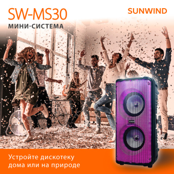 Минисистема SunWind SW-MS30 черный 60Вт FM USB BT SD/MMC - купить недорого с доставкой в интернет-магазине