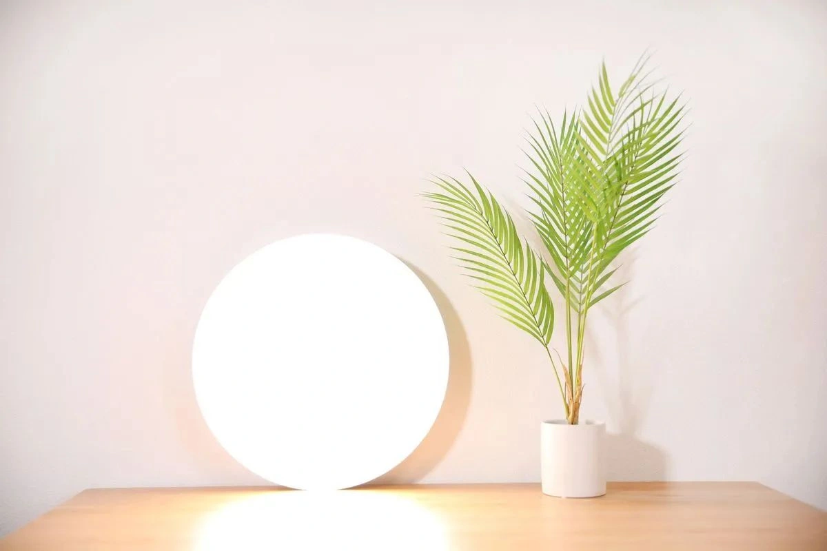 Умный светильник Xiaomi Ceiling Mi Smart LED Ceiling Light (450mm) потолоч. белый (BHR4118GL)