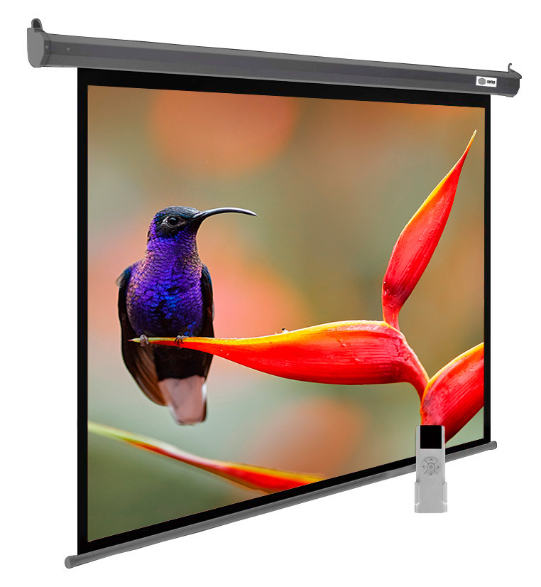 Экран Cactus 102" 138x220см SIlverMotoExpert CS-PSSME-220X138-DG 16:10 настенно-потолочный рулонный темно-серый (моторизованный привод)