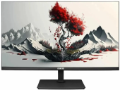 Монитор RDW Computers 23.8" 2401K черный IPS 4ms HDMI HAS Piv 350cd 178гр/178гр 1920x1080 100Hz VGA DP FHD USB 4.185кг (RUS)