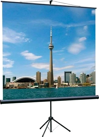 Экран на треноге Lumien 67" 120x120см Eco View LEV-100116 1:1 напольный рулонный белый