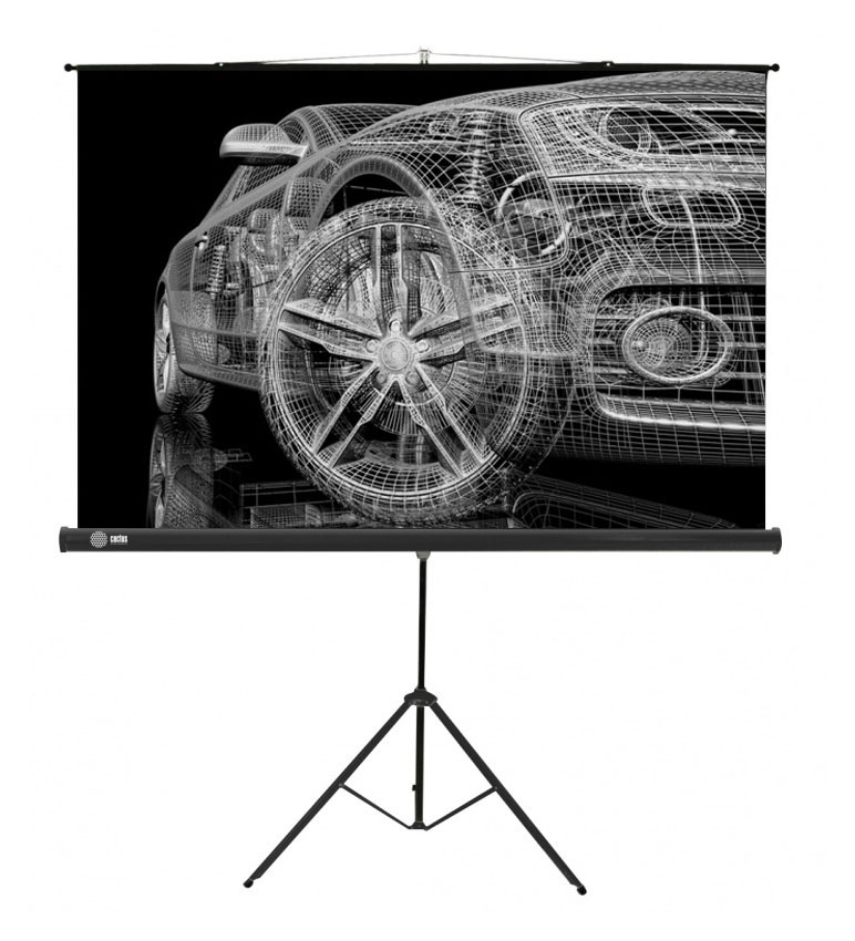 Экран Cactus 100" 124.5x221см Triscreen CS-PST-124x221 16:9 напольный рулонный черный