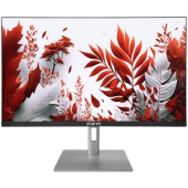 Монитор RDW Computers 23.8" RDW2407 черный/серебристый IPS 1ms HDMI M/M HAS Piv 300cd 178гр/178гр 1920x1080 120Hz VGA DP FHD USB (RUS)