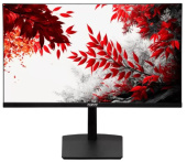 Монитор RDW Computers 31.5" RDW3207 черный IPS 5ms HDMI M/M HAS Piv 300cd 178гр/178гр 3840x2160 60Hz VGA DP UHD USB (RUS)