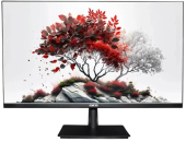 Монитор RDW Computers 27" RDW2701K черный IPS 1ms HDMI M/M 350cd 178гр/178гр 2540x1440 100Hz DP QHD USB 5.350кг (RUS)