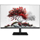 Монитор RDW Computers 27" 2701K черный IPS 5ms HDMI 300cd 178гр/178гр 1920x1080 120Hz VGA DP FHD 4.185кг (RUS)