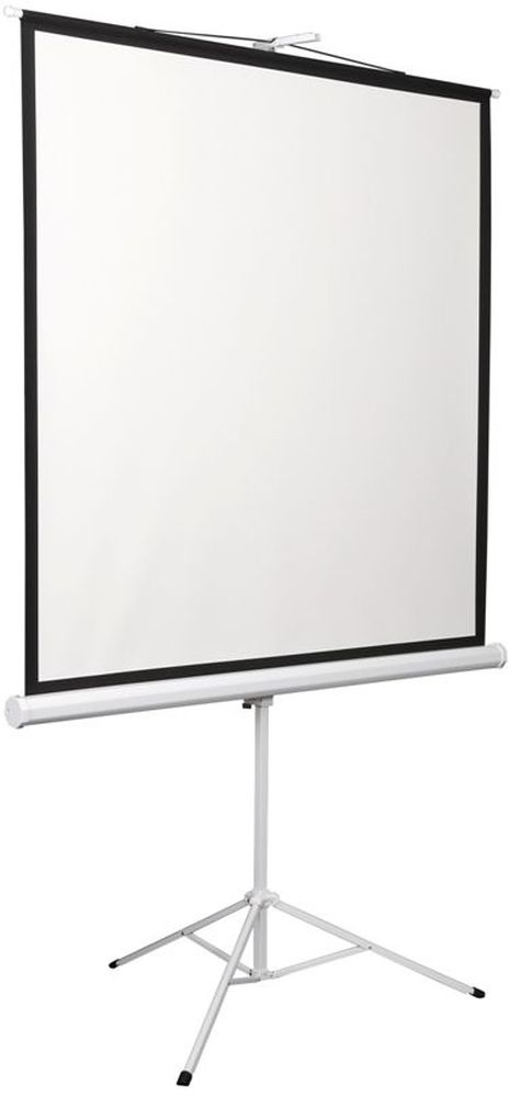 Экран Digis 86" 130x172см Kontur-D DSKD-4302 4:3 напольный рулонный