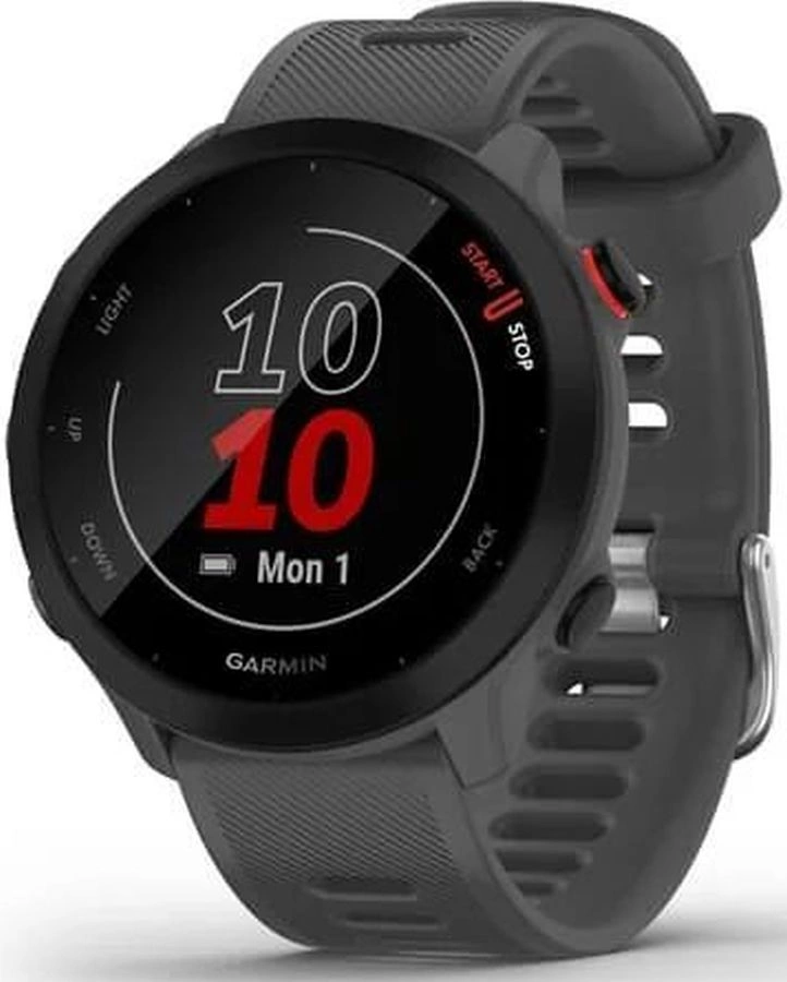 Смарт-часы Garmin Forerunner 55 42мм 1.04" LCD корп.серый рем.серый разм.брасл.:127-220мм (010-02562-13)