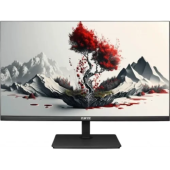 Монитор RDW Computers 23.8" 2401K черный IPS 4ms HDMI 300cd 178гр/178гр 1920x1080 100Hz VGA DP FHD 4.185кг (RUS)
