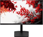Монитор RDW Computers 31.5" RDW3207 черный IPS 1ms HDMI M/M HAS Piv 350cd 178гр/178гр 2560x1440 180Hz VGA DP QHD USB (RUS)