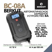 Зарядное устройство Berkut BC-8A