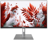 Монитор RDW Computers 23.8" RDW2407 черный IPS 1ms HDMI M/M 300cd 178гр/178гр 1920x1080 120Hz VGA FHD (RUS)