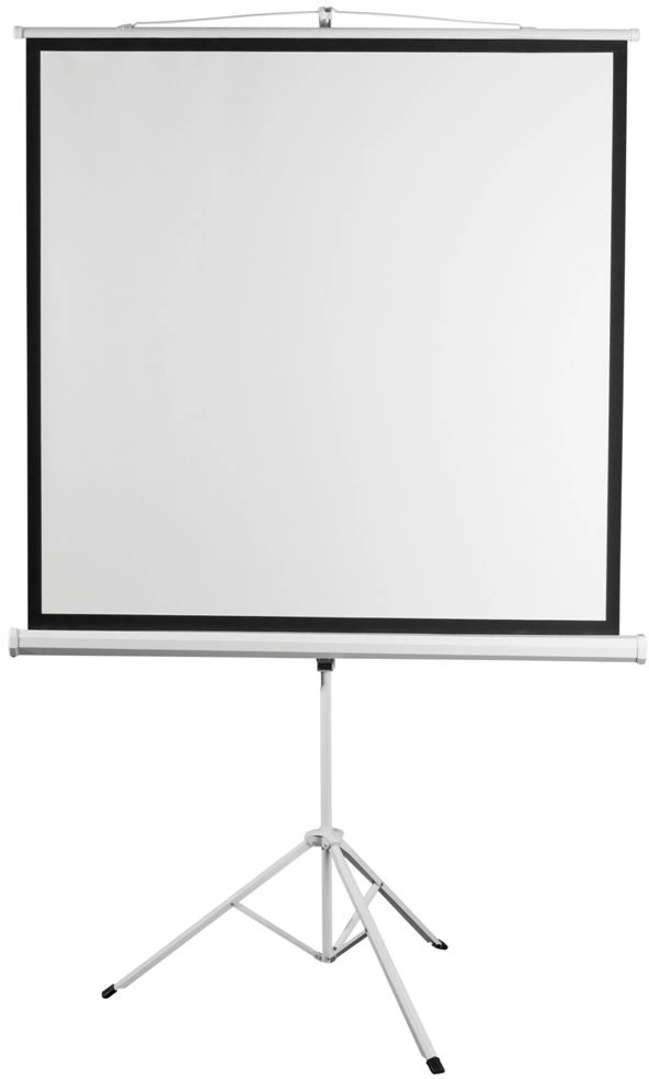 Экран Digis 112" 200x200см Kontur-D DSKD-1106 1:1 напольный рулонный