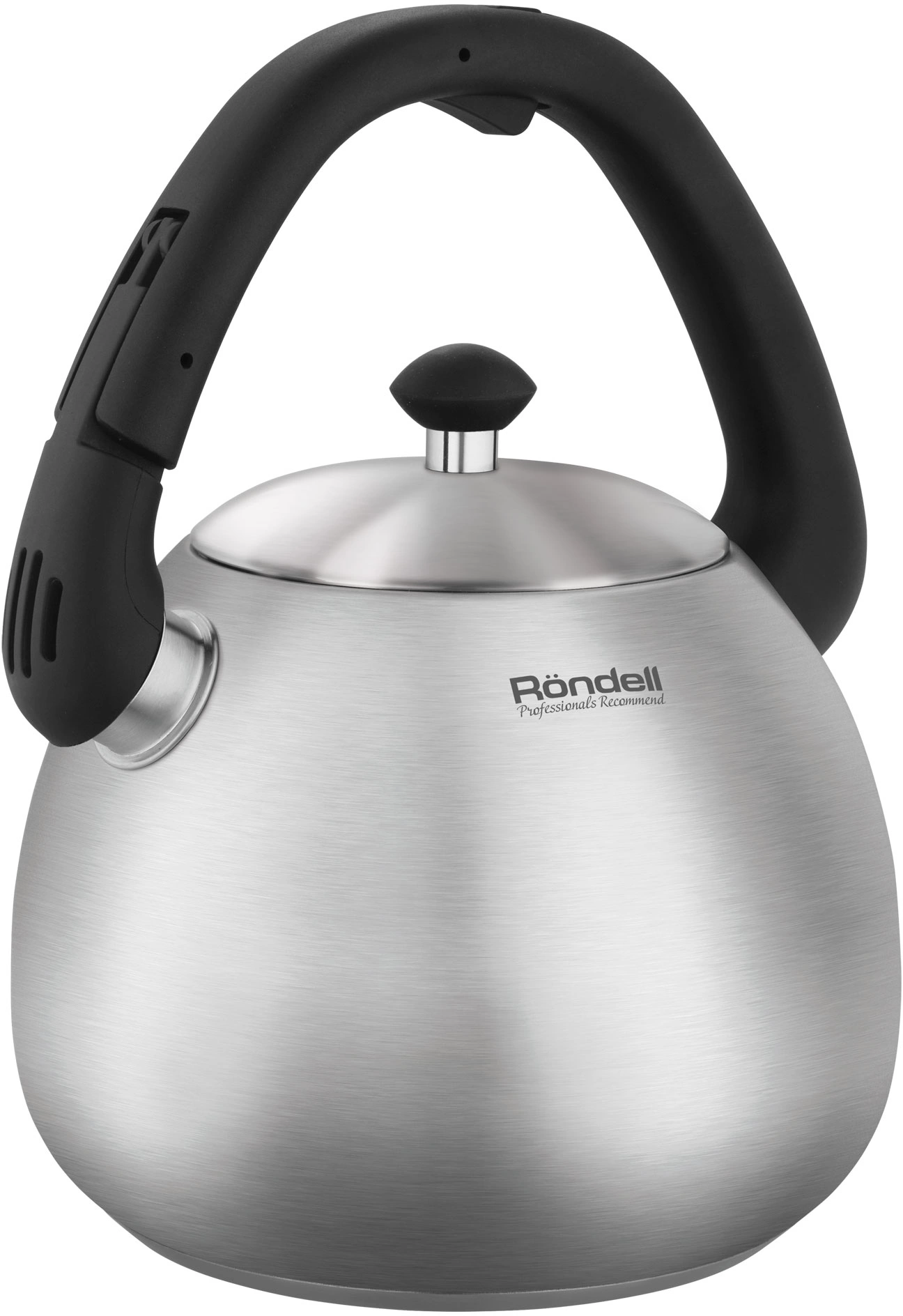 Чайник металлический Rondell Esfera RDS-1656 3л. стальной