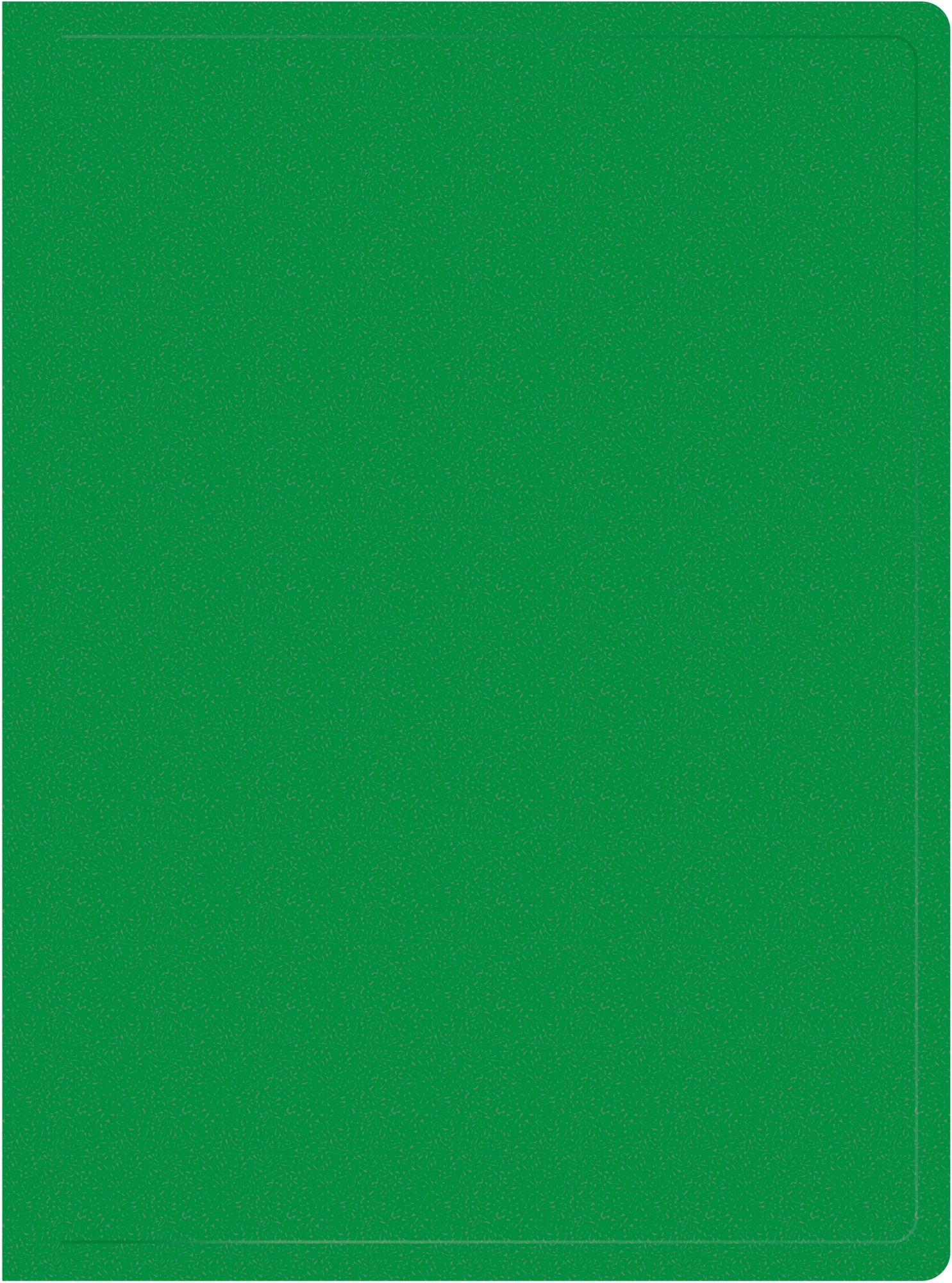 Папка с 30 прозр.вклад. Silwerhof Eco SE-V30GRN A4 пластик 0.5мм зеленый