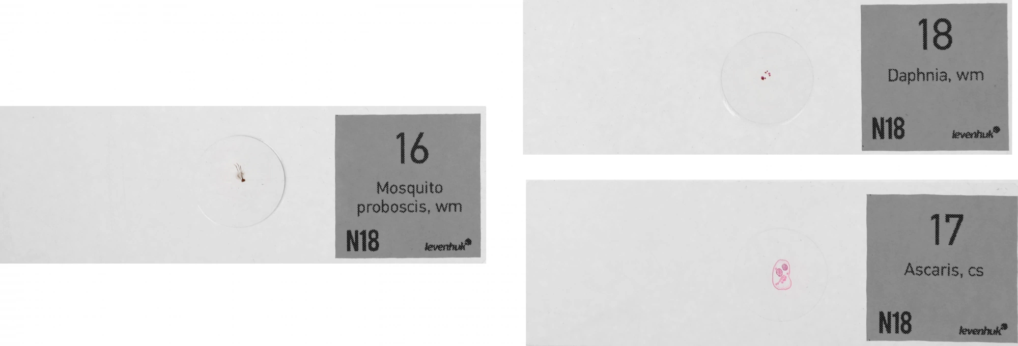Набор микропрепаратов Levenhuk N18 NG 83предм. прозрачный/черный/оранжевый (29276)