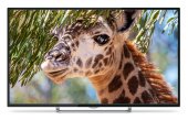 Телевизор LED PolarLine 55" 55PU11TC-SM черный 4K Ultra HD 50Hz DVB-T DVB-T2 DVB-C WiFi Smart TV (RUS)