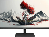 Монитор RDW Computers 23.8" RDW2401K черный IPS 5ms 16:9 HDMI M/M матовая HAS Piv 1000:1 300cd 178гр/178гр 1920x1080 120Hz VGA DP FHD 4.185кг (RUS)
