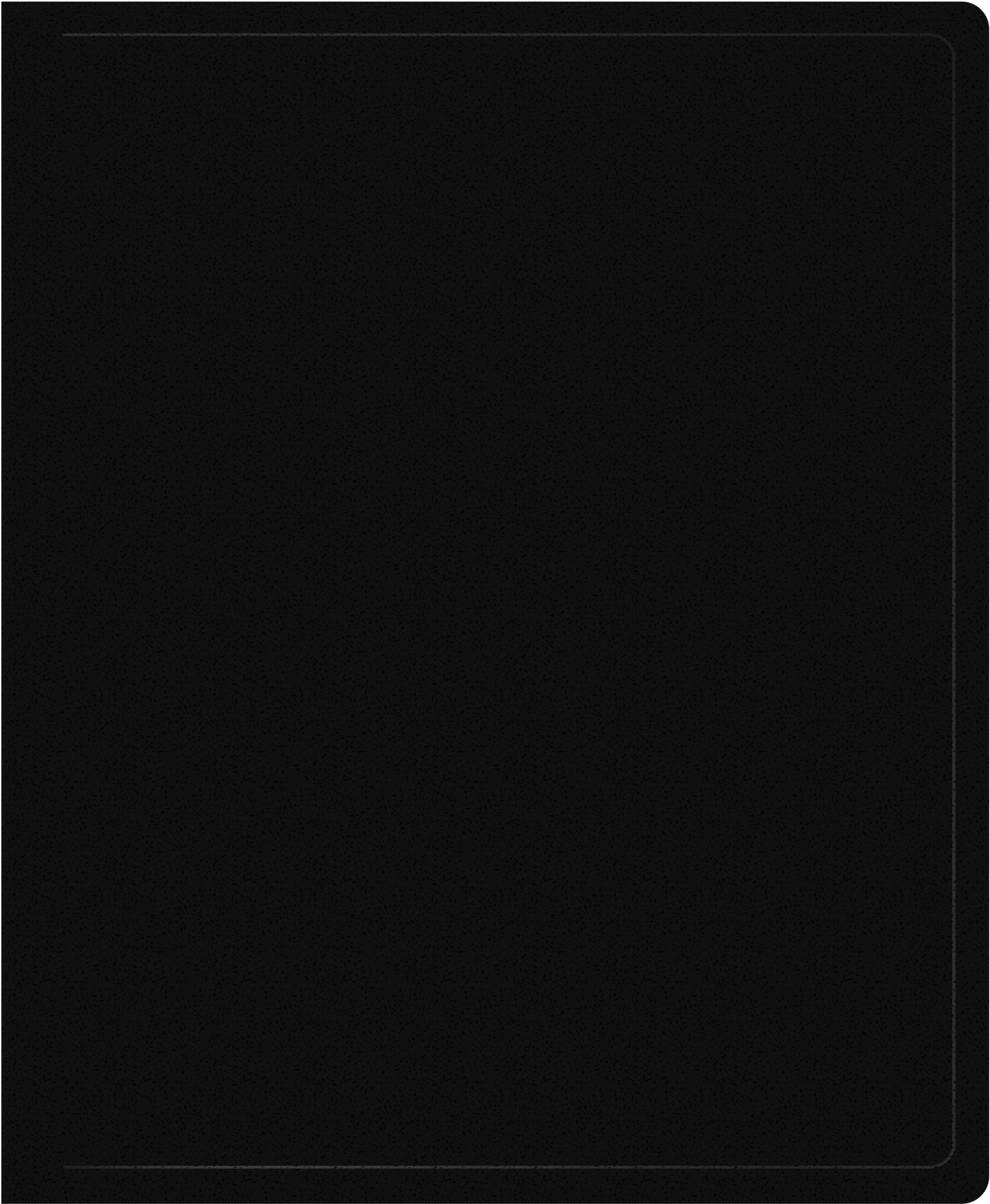 Папка на 2-х кольцах Silwerhof SE-0420/2RBLK A4 пластик 0.5мм кор.30мм черный