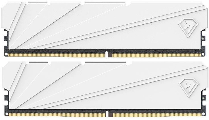 Память DDR4 2x16GB 3200MHz Netac NTSSD4P32DP-32W Shadow S RTL Gaming PC4-25600 CL16 DIMM 288-pin 1.35В kit Intel с радиатором Ret