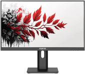 Монитор RDW Computers 27" RDW2701K черный IPS 1ms 16:9 HDMI M/M HAS Piv 1000:1 350cd 178гр/178гр 2560x1440 100Hz DP QHD USB 1.7кг (RUS)