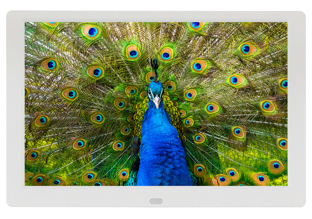 Фоторамка Digma 10.1" PF-1043 1280x800 белый пластик ПДУ Видео