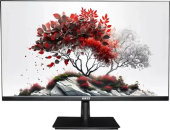 Монитор RDW Computers 27" RDW2701K черный IPS 1ms HDMI M/M 350cd 178гр/178гр 2540x1440 100Hz DP QHD USB 5.350кг (RUS)