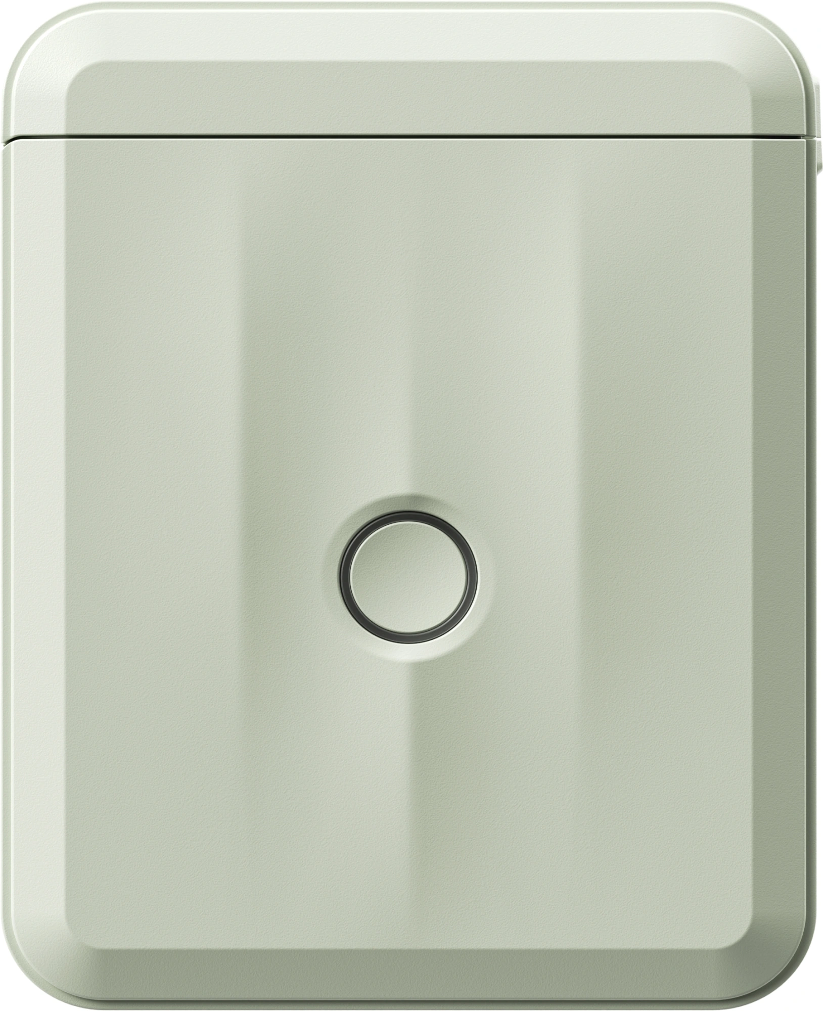 Термопринтер Niimbot D110 M (1746804) 203dpi 40мм/с/USB/BT для печ.этик. зеленый