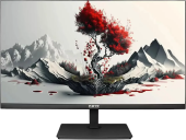 Монитор RDW Computers 23.8" RDW2401K черный IPS 4ms HDMI M/M HAS Piv 350cd 178гр/178гр 1920x1080 100Hz VGA DP FHD USB (RUS)
